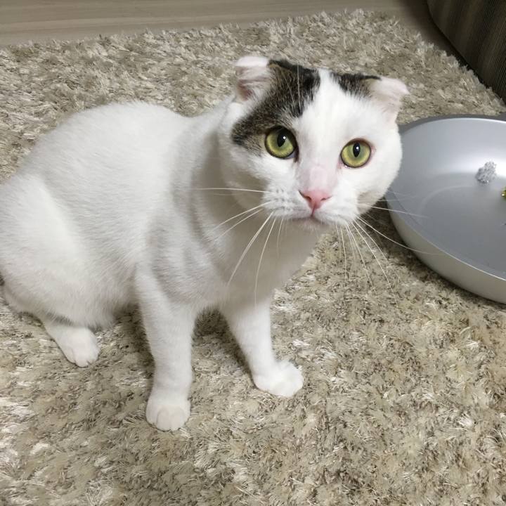 Dc88bea4 dc2d 460b a738 1dd5c272099e