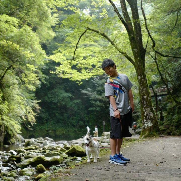 Dc892a0c 111f 4b38 86f2 1c824309ac0d