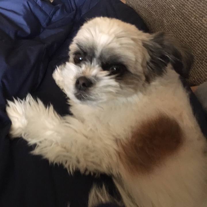 Dc8957c6 b606 46df ae47 fdc479823e25