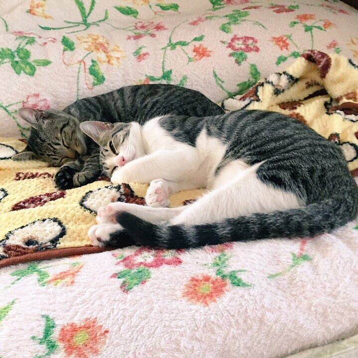 Dc895a19 6619 43f6 b036 5e73fe60db49