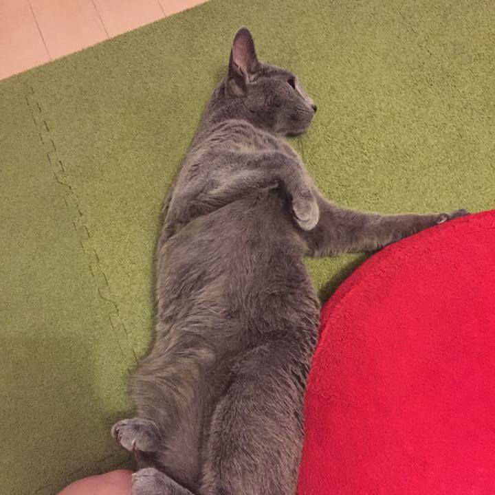 Dc897359 5a79 4a52 af83 36caa4827aaf