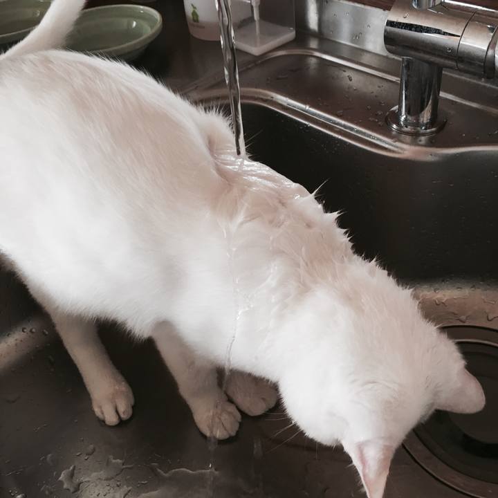 Dc898e00 65d0 4797 8855 3b1ea0e53f61