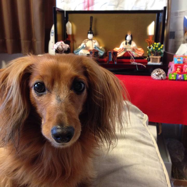 Dc8a0391 78e7 4e66 9330 461b801b37ed