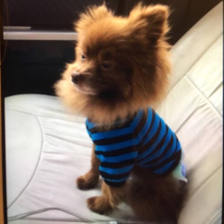 Dc8a2c51 7314 4a14 a600 057f579b7ed8