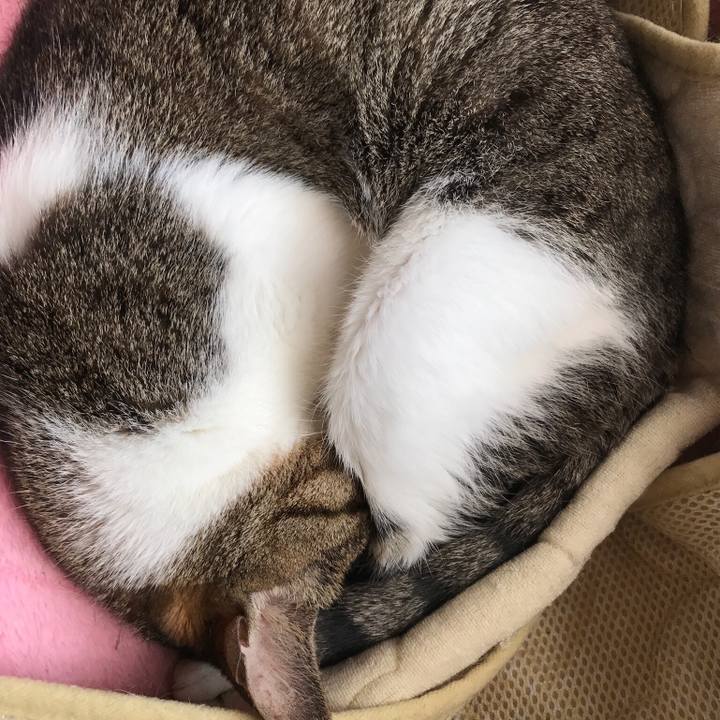 Dc8aca5a 7874 4df5 98f7 19108ff723a5