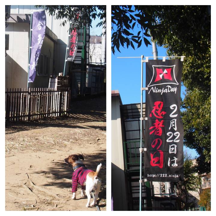 Dc8ad935 2320 460c a1e6 8ac7079669c8