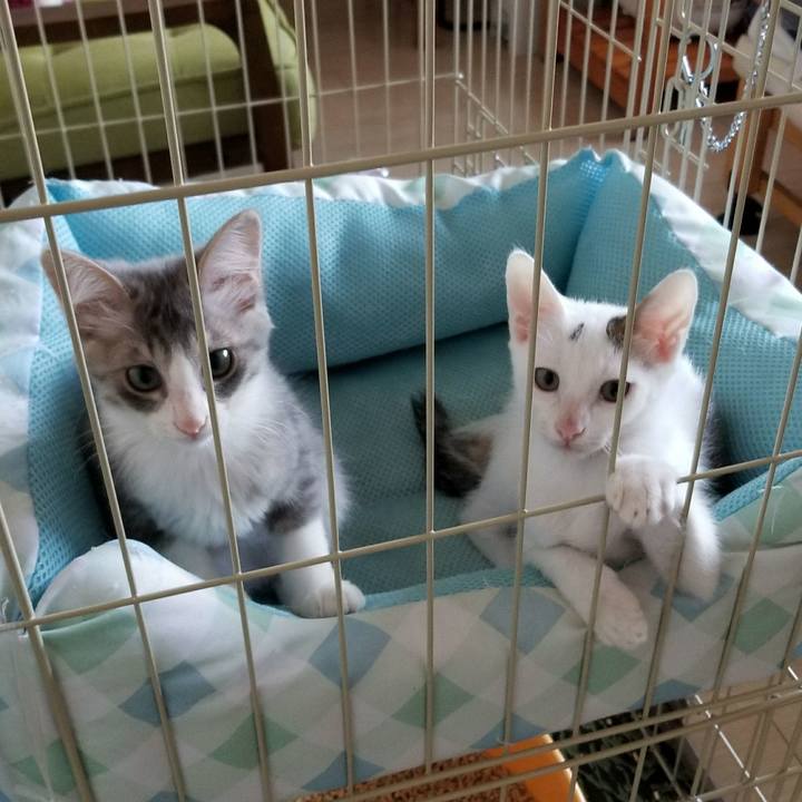 Dc8b0a63 38eb 47a5 9c61 fe0a11cc386d