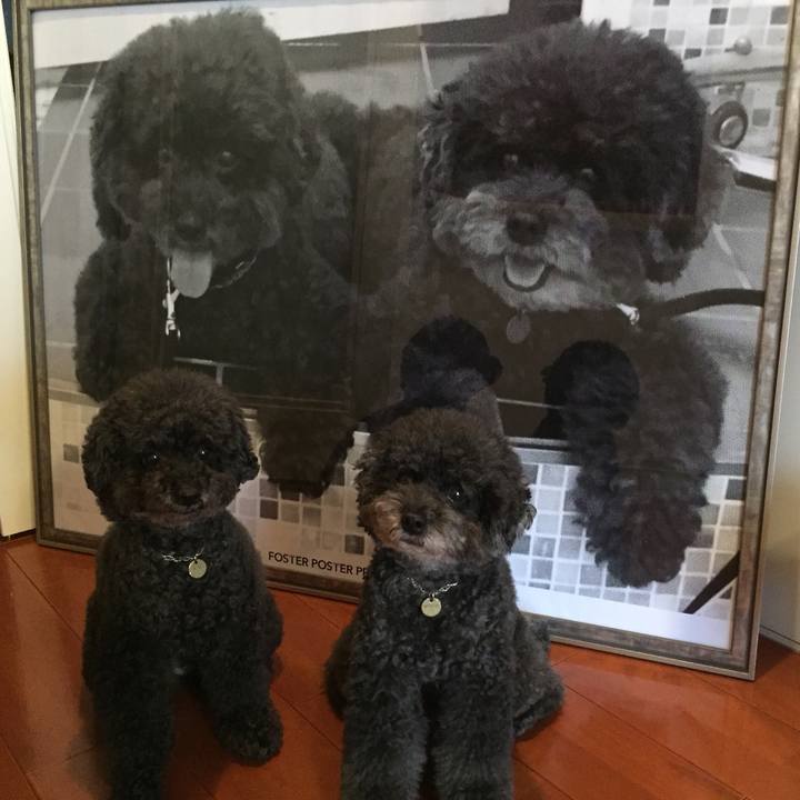 Dc8be0ba fe20 4a2a 9d72 e47d0d8e1531