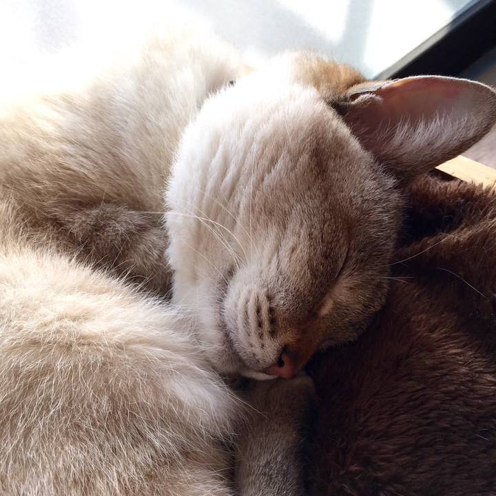 Dc8c10b7 2779 4bb4 9b41 718044146115