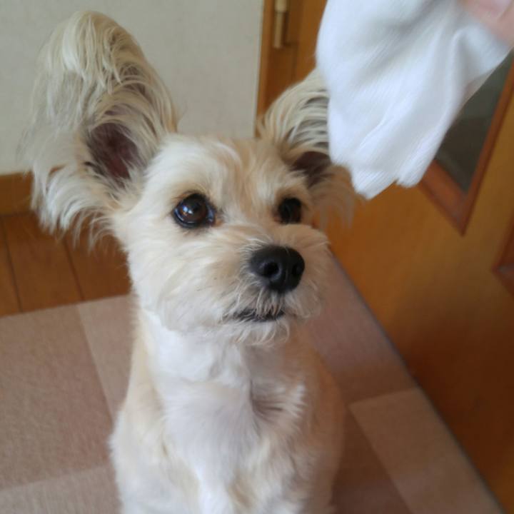 Dc8c1125 bb75 451a bf95 c50b23bf0206