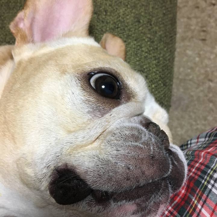 Dc8c3f75 be0a 4fe2 b1ae fd34edead39a