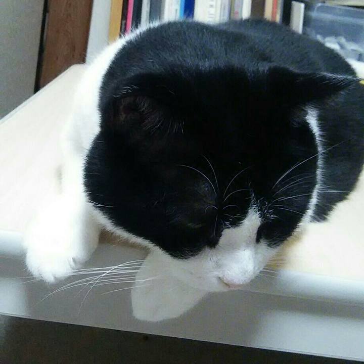 Dc8c6306 62fe 4c68 9184 60cca80272ab