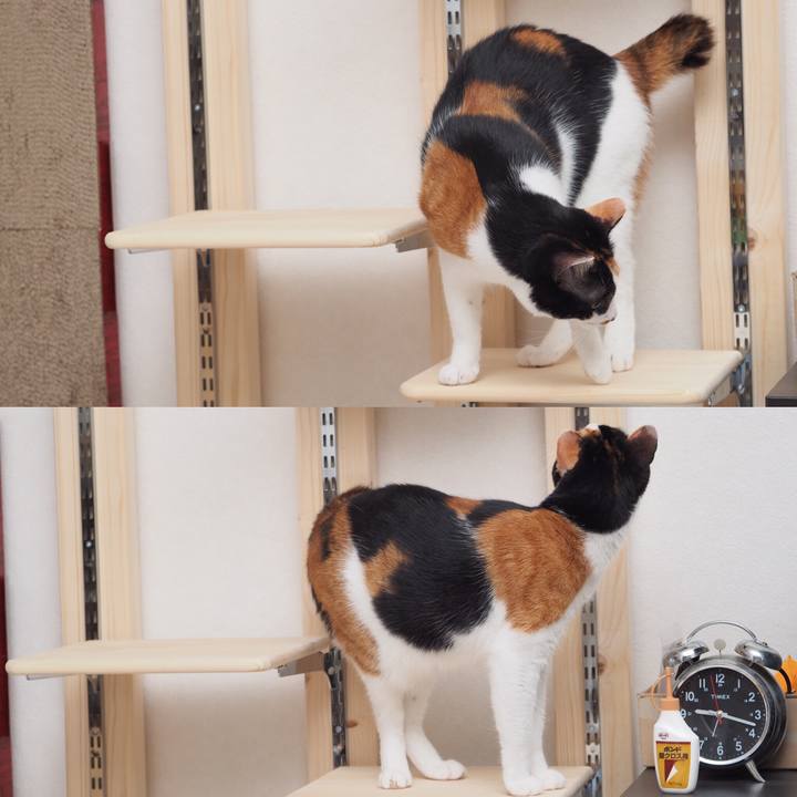 Dc8ca611 bd8d 4205 835e 34fe233c68b5