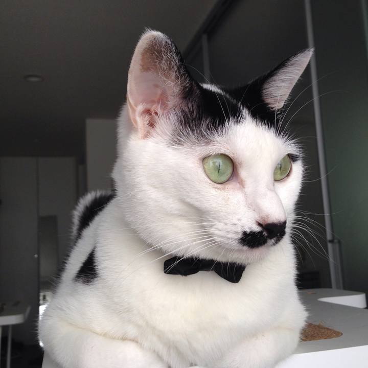 Dc8ccc99 698f 4b42 8cf7 a71bc166db67