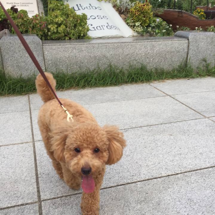 Dc8d227f d0c8 4a35 b04f a9eceb912efc