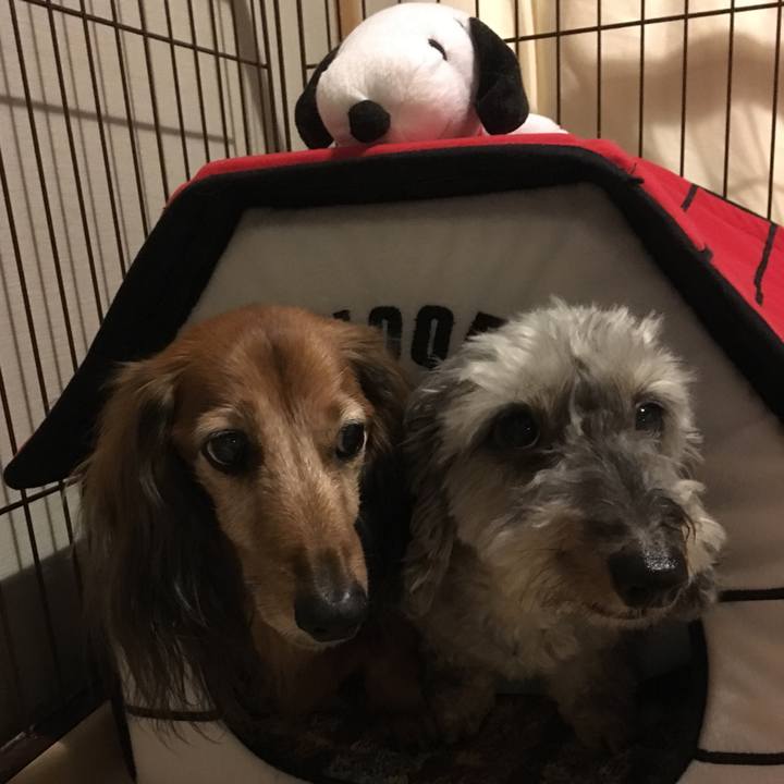 Dc8f10bc 5a19 44b0 ba8e ea94c998203c