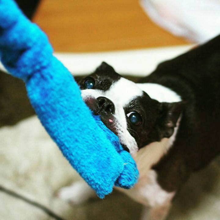 Dc903f95 a322 49f9 8f51 ba9c9e837607