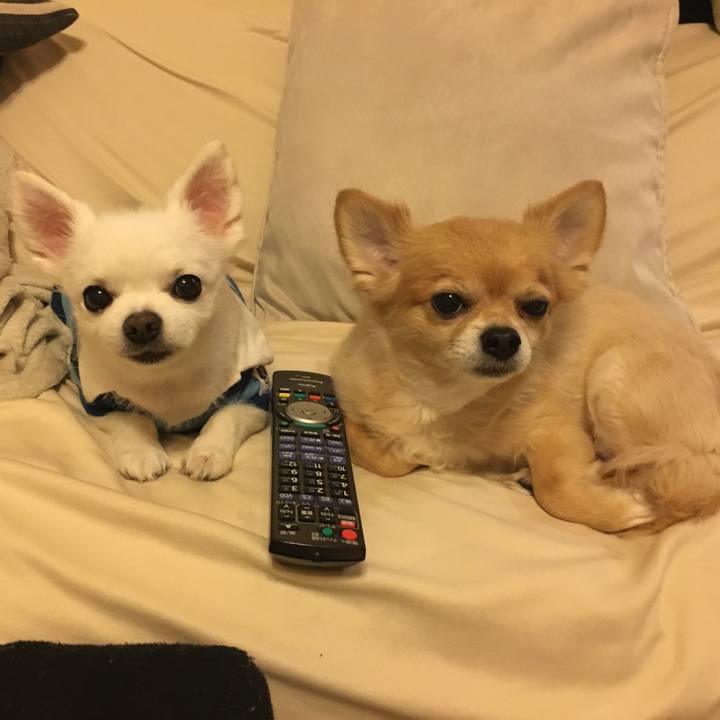 Dc90ae8a 562e 4a36 af5c 26ee9cd95436