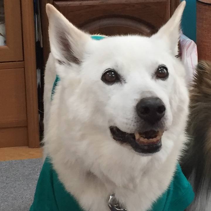 Dc91b01a c186 48da 9592 ad4ec410fd96