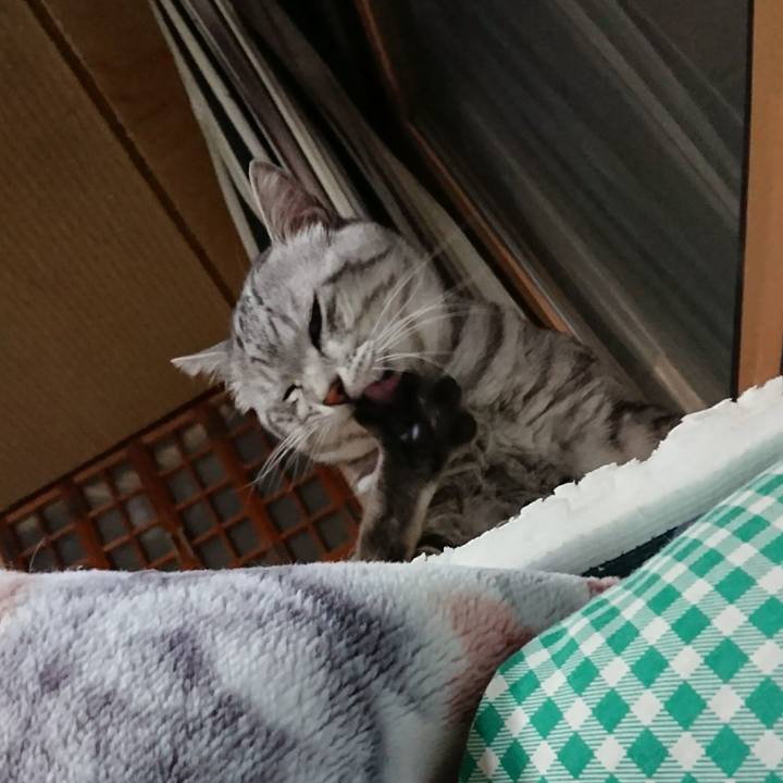 Dc92603a 2f04 4eaf ba24 41078e5938bf