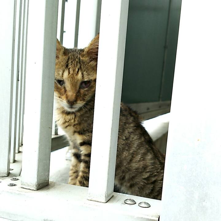 Dc935056 dff9 4a20 ab3f f8bea65d1661