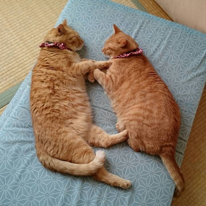 Dc93e94e f7e4 4c9a 858b 0720f4acb88a