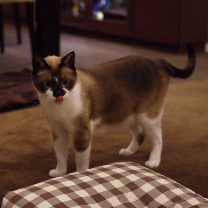 Dc93edaf db38 4820 a707 3640e1136b15