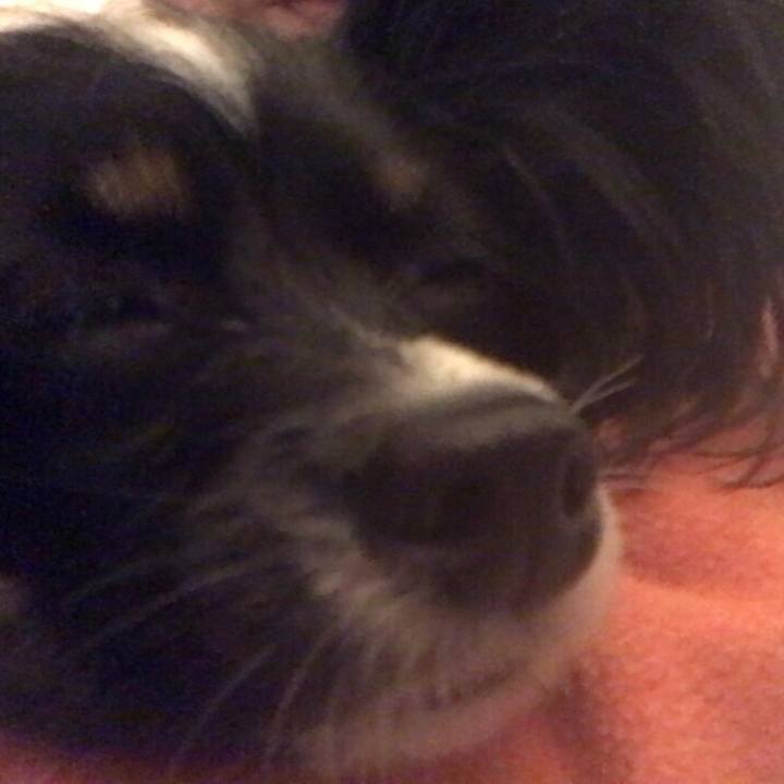 Dc94823d d261 42d6 a8e0 53a89a69317b