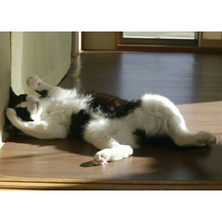 Dc94b80e e275 4a54 9ffb 8cdbe07d1438