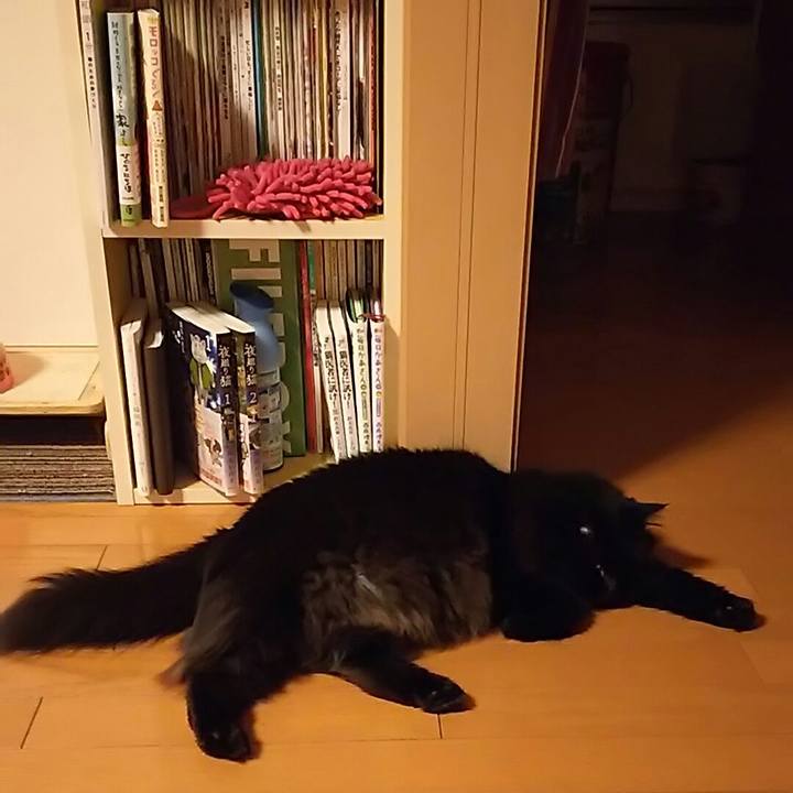 Dc94e28f 45fc 4b68 95a6 f37f543c374e