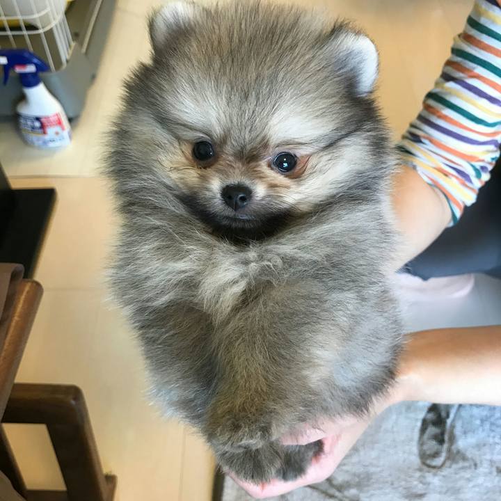 Dc958395 cf0d 4412 a06a b3f8575e6032