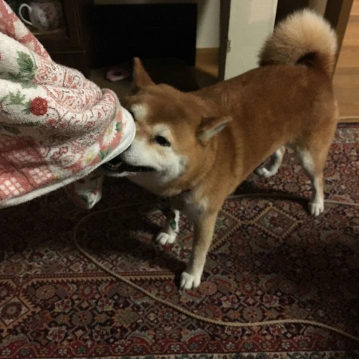 Dc96140e aba5 46a8 a8e2 8b7466b020df