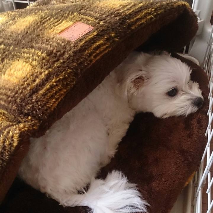 Dc9663ee a158 4364 9654 cd00705706f9