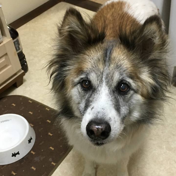 Dc973482 d5aa 4eae 8ad0 42cbff7e36b5