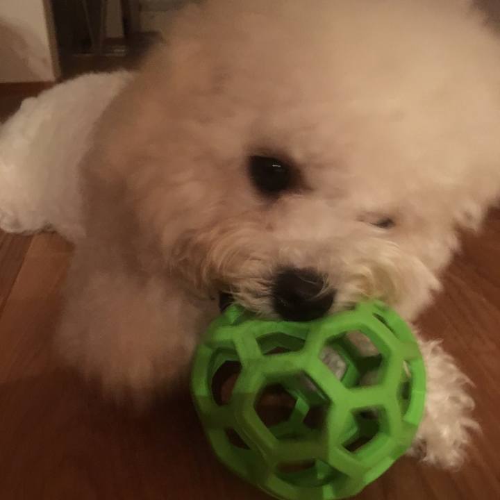 Dc973835 1d5f 425e ae15 ed4d9f04199e