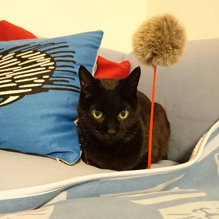 Dc976cdc 32cc 4517 8c7c e80837bfde2c