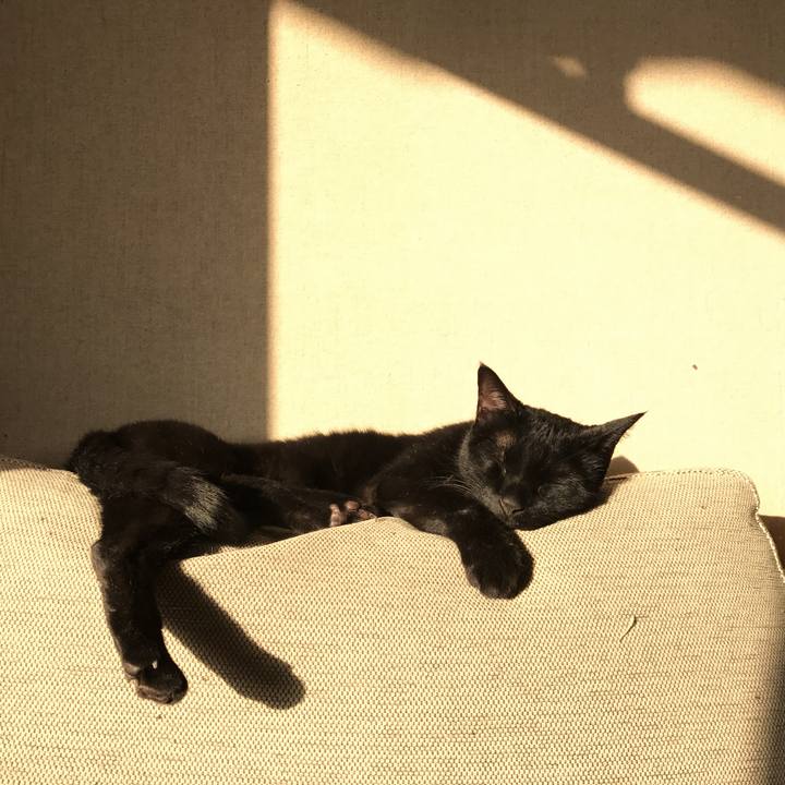 Dc97758e 2931 4602 b70e 058940ecf44e