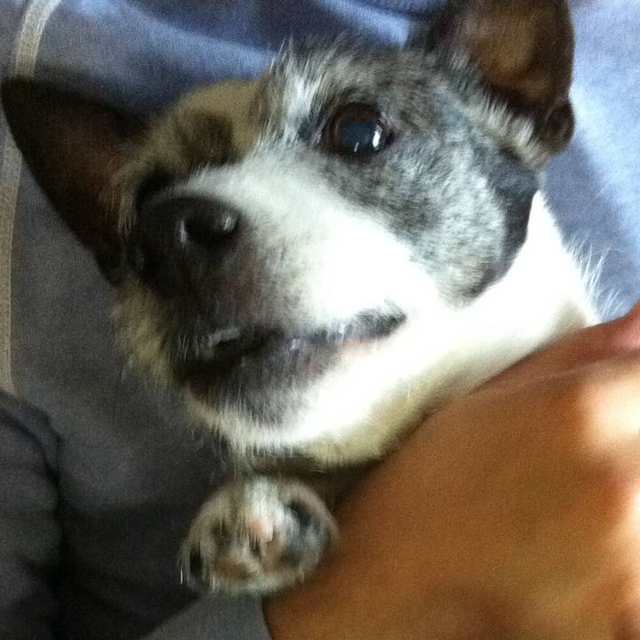 Dc97b624 18e1 4984 b2ec 412ee7347f05