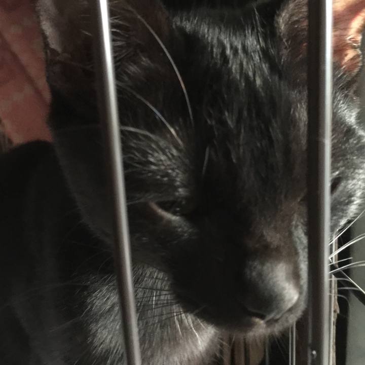 Dc98998a 82fa 48a2 8358 22e28dbcba02