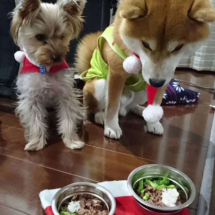 Dc98f6ea e7ca 4a0e 8fce f6fdf6c6a52e