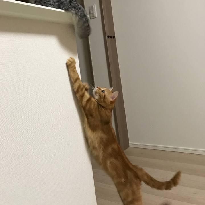 Dc99012d 8e1c 4768 a66c 315469ee9bde