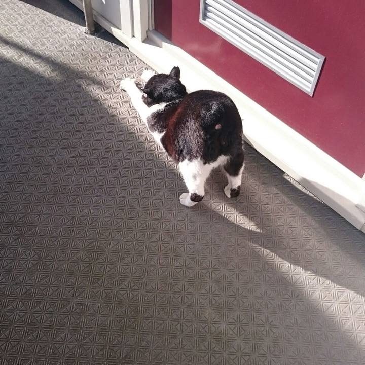 Dc9a180a 9f2f 4478 ab75 e4bee5cf904d