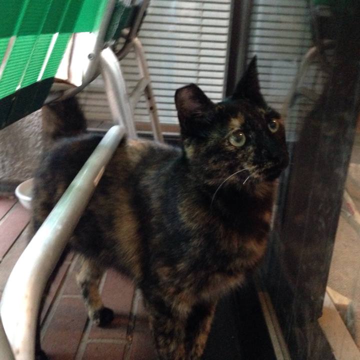 Dc9a673d 7cce 4f65 bd88 a773f7100f30