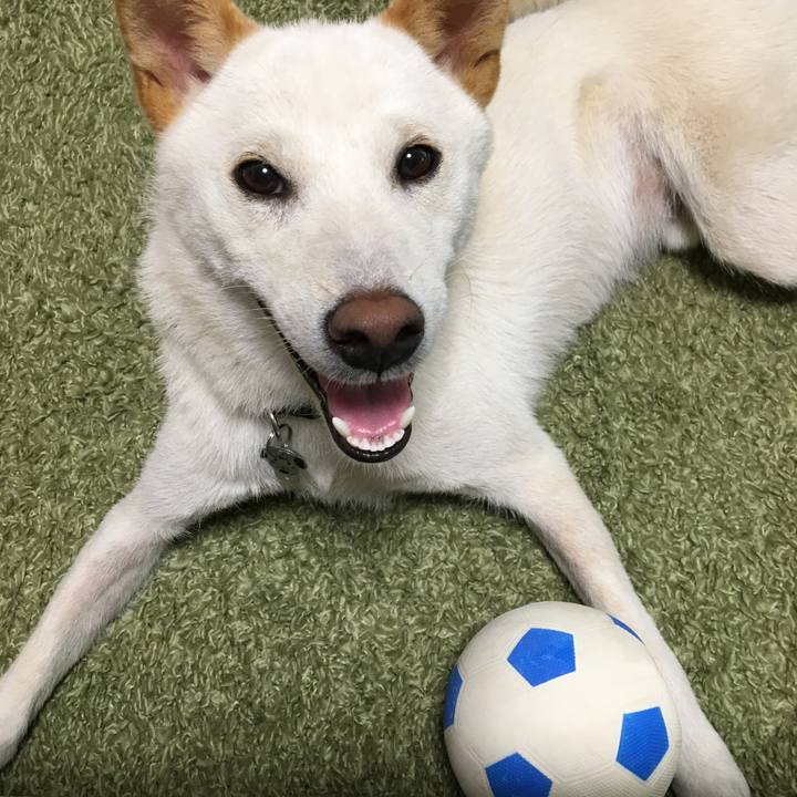 Dc9a8b92 28c0 4d7b a252 ac61c99b4b88