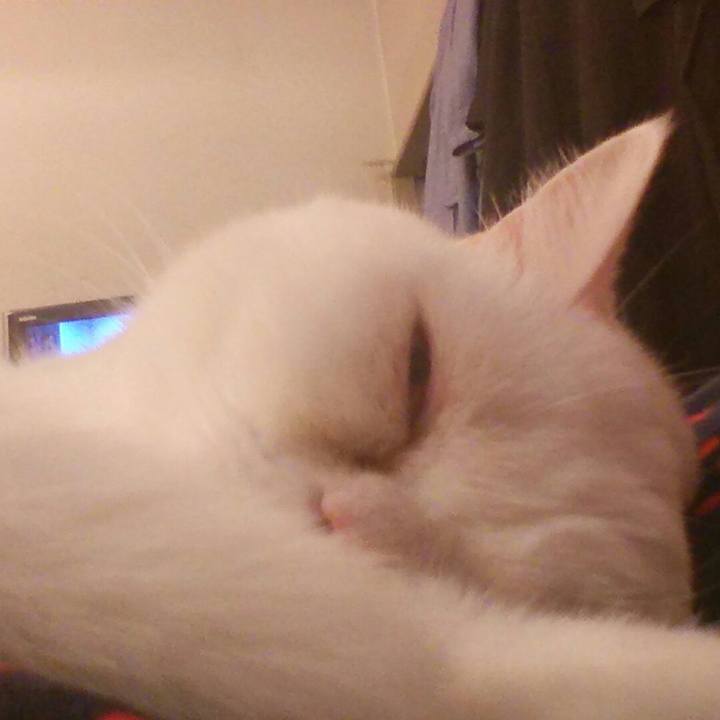 Dc9b36fc b135 46ee a1d0 7a38ed07b35f