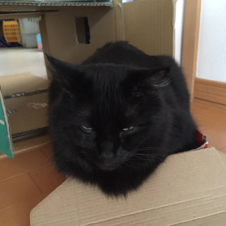 Dc9c7c95 730f 4088 8937 ed061ff8bac9