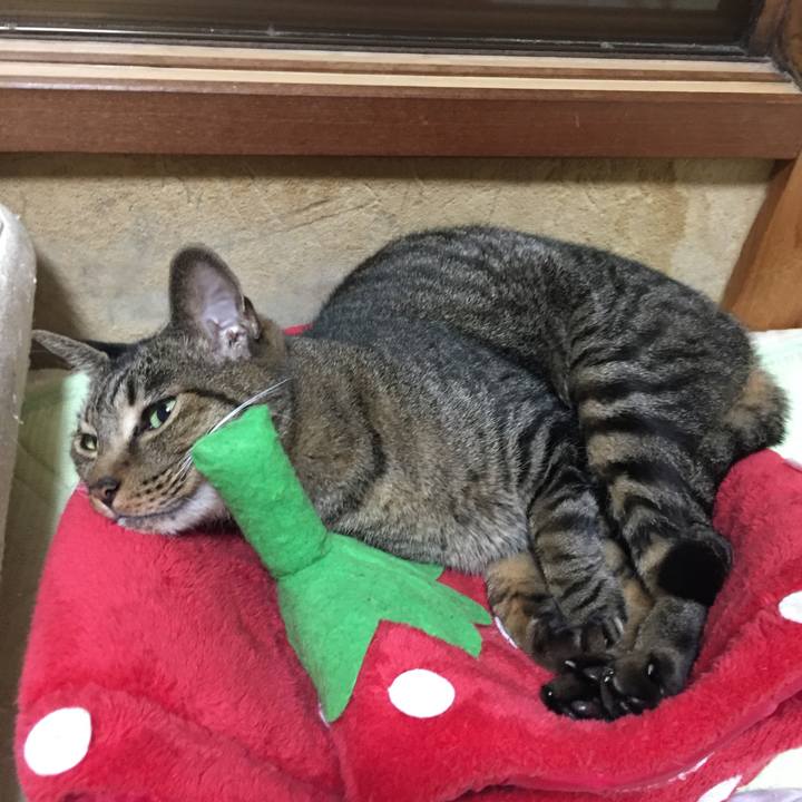 Dc9cd39a 242b 4ec8 ae18 8aadec182d39