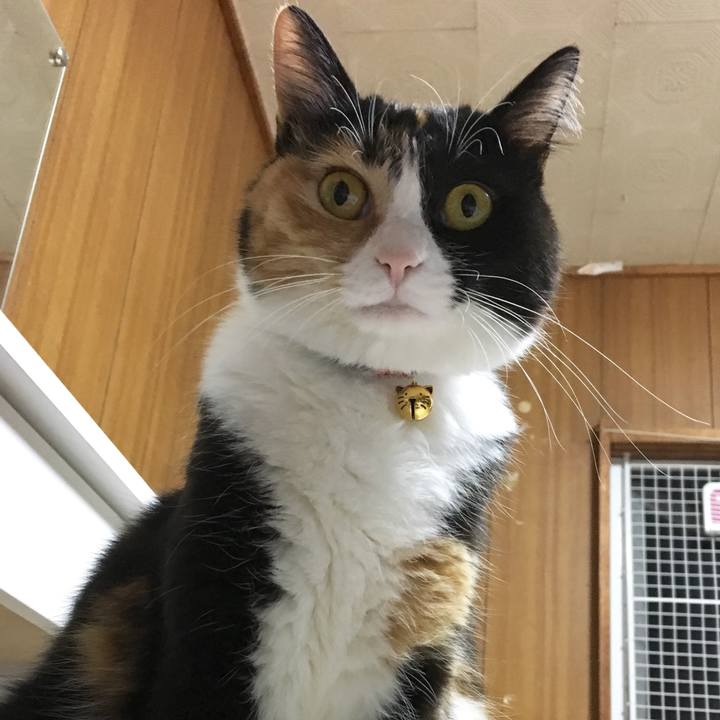 Dc9e2c04 e9eb 455f ac7c 24ebf13632bc