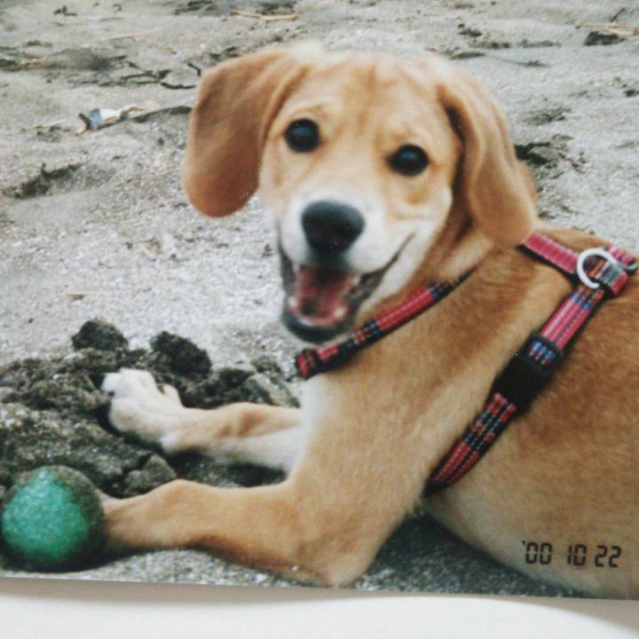 Dc9e89c0 4504 4e81 87c0 d845677f36cb