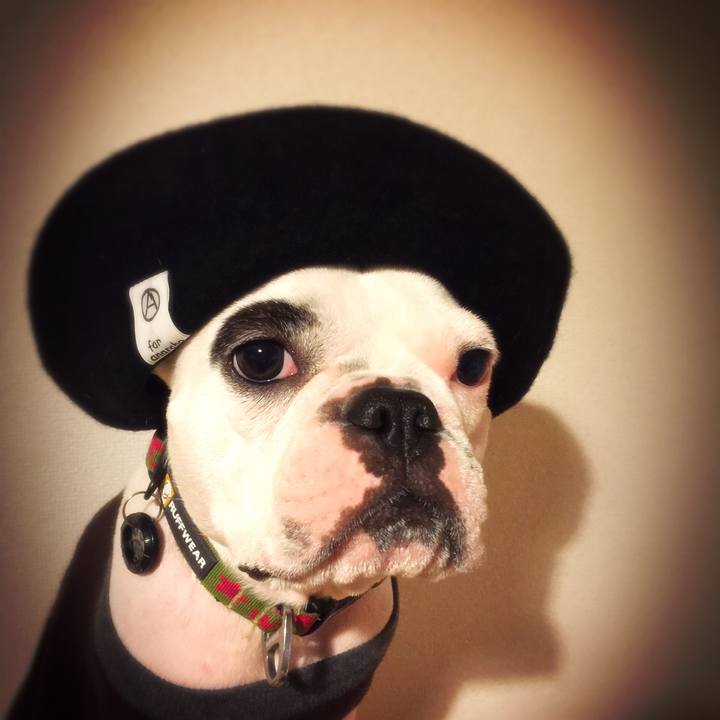 Dc9eb882 66f3 4549 b825 d02e13714fea